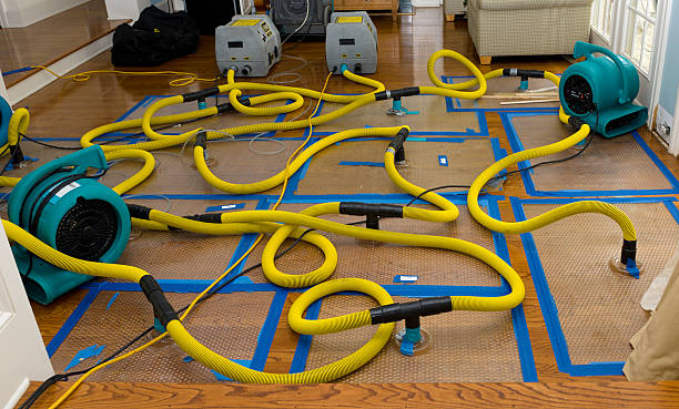 Professional Crawl Space Water Removal technician working in New Baltimore, VA